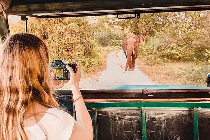 08 - Day Classic Tour with English speaking drive and Private luxury vehicles - Polonnaruwa history and a wild elephant day near Sigiriya