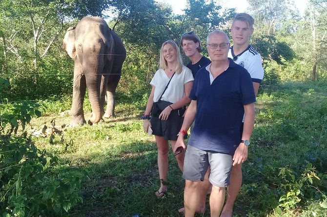 08 Nights in Magical Sri Lanka - Dambulla Caves, Spice Gardens, And A Kandy Night Show