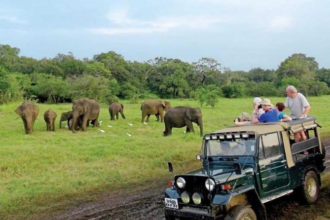 08 Nights in Magical Sri Lanka - Tea Country And The Nuwara Eliya Build-Up Before Ella