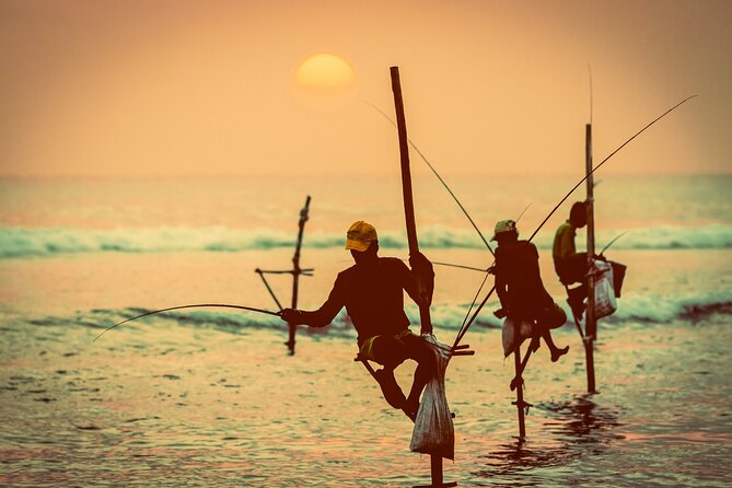 09 Days in Sri lanka - Major Attractions - Kandy: Temple of the Tooth plus a real night show