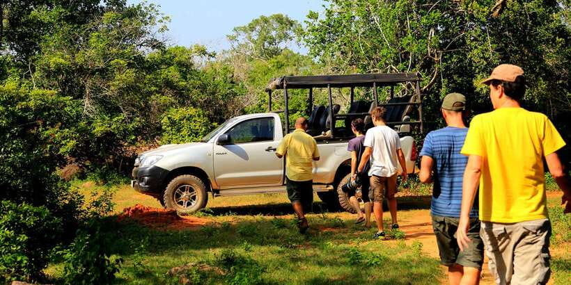 1-Day Tour of Both Yala and Udawalawe National Parks - Why Two Parks in One 12-Hour Day Works (Even If It’s a Full Plate)