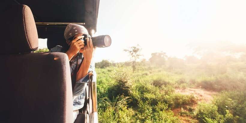 1-Day Tour of Both Yala and Udawalawe National Parks - The Picnic Lunch and the Midday Shift to Udawalawe