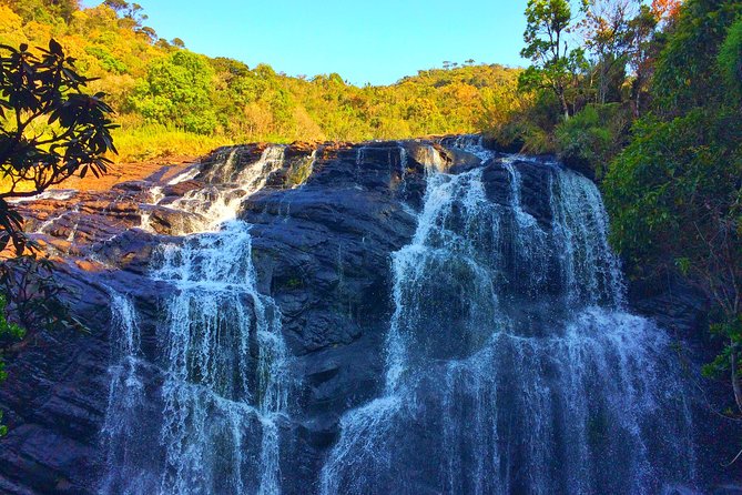 10 Day Explore Sri Lanka - Day 3: Sigiriya rock fortress and Polonnaruwa by bicycle