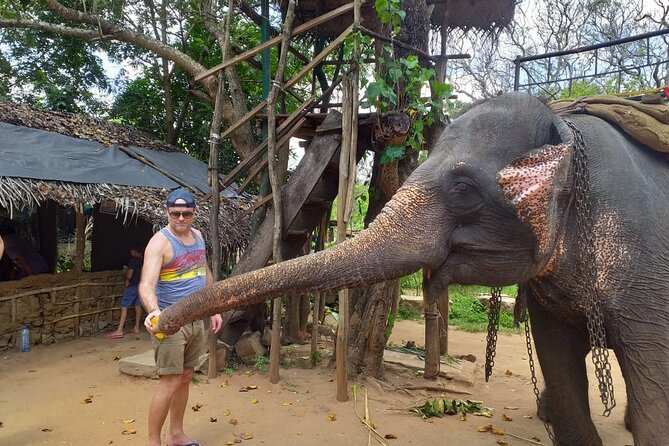 12 Days Sri Lanka Island Adventure and Wild Tour - Mirissa and the south coast: whales, beaches, and a slower rhythm