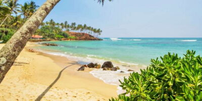 2-Day Whale Watching & Southern Sri Lanka Tour - Getting There the Day You Start: Colombo to Mirissa Without Wasting Light