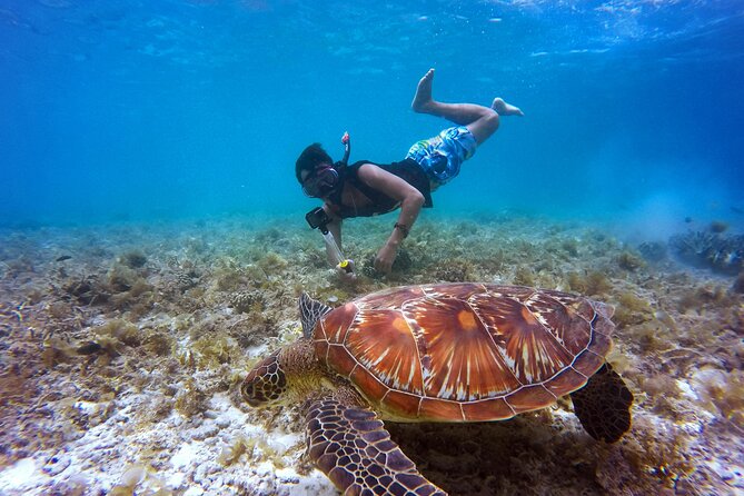 2 hours Private Snorkeling tour in Unawatuna - Key highlights at a glance