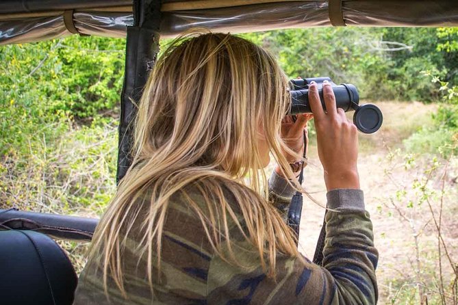 2 Nights All Inclusive Treehouse Safari in Yala with transfers - Price and Value for About $800: What You’re Really Paying For
