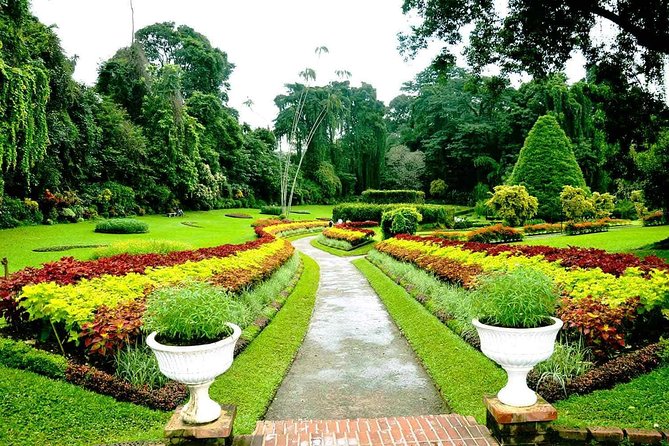 3 Days Tour to Kandy Nuwara Eliya & Sigiriya from Colombo - What you’re paying for: value beyond the headline price