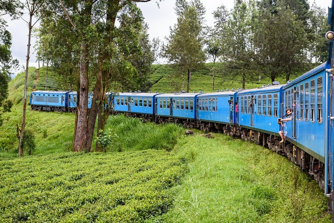 4 Days Tour to Kandy, Sigiriya & Nuwara Eliya - Price and logistics: what $325 really buys you