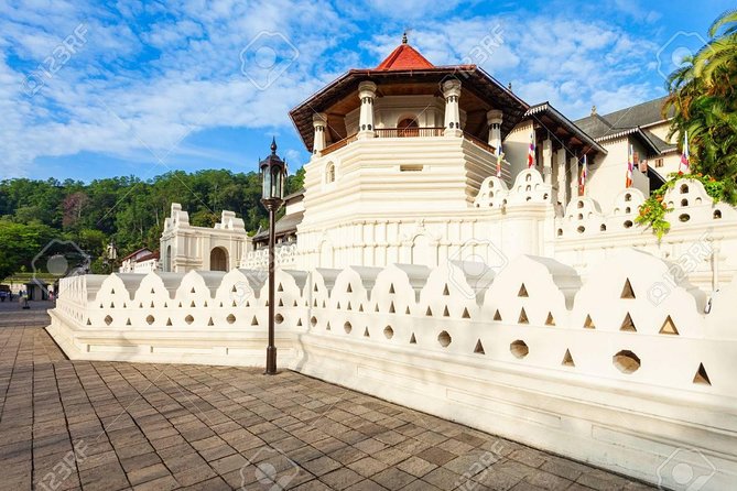 4 Days Tour to Kandy, Sigiriya & Nuwara Eliya - Day 4 around Nuwara Eliya: Victoria Park, Ramboda Falls, and Mackwoods Tea Estate