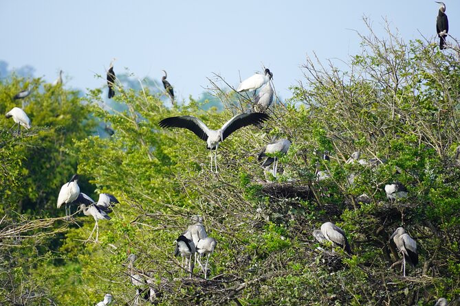 4 Hours Private Yala Safari Day Tour - Why Yala National Park from Bentota makes sense