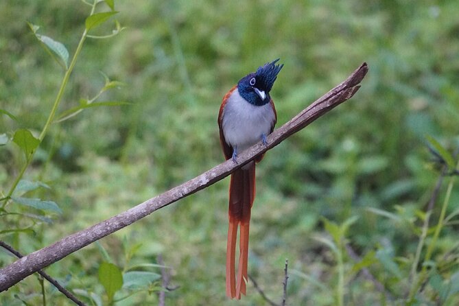 4 Hours Private Yala Safari Day Tour - Price and value: what you’re paying for