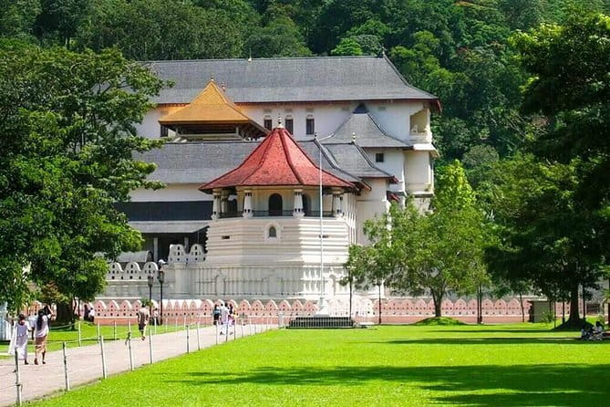 7 Days Private Guided Tour in Sri Lanka - Day 3: relics, royal gardens, waterfalls, and tea country stops