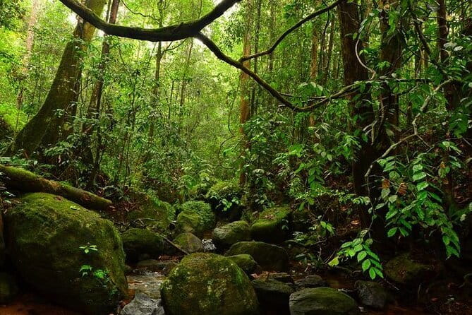 7 Days Private Guided Tour in Sri Lanka - Day 4: Nine Arches Bridge, misty falls, and Little Adam’s Peak