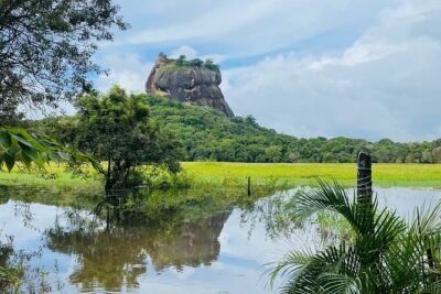 7 Days Sri Lanka Safari Tour - Price and What $380 Covers (And What It Doesn’t)