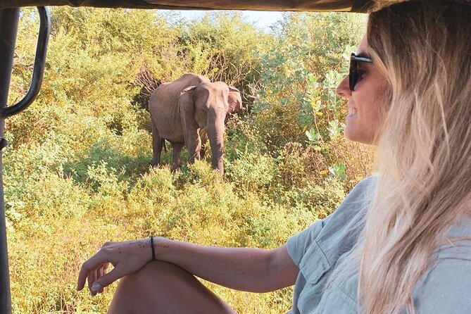 7 Days Tour in Sri Lanka Hotels with Breakfast and Luxury Car - Key highlights at a glance