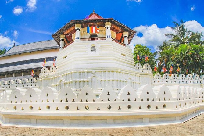 7 Nights Private Tour Of Sri Lanka - Day 3 Dambulla Caves, Sacred Tooth Relic, and Kandy Evening Culture