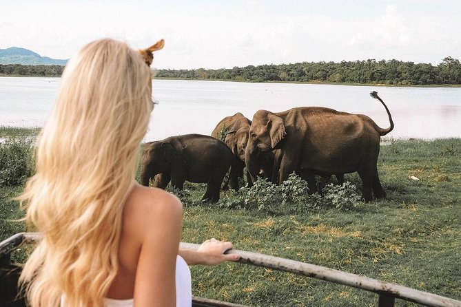 7 Nights Private Tour Of Sri Lanka - Day 6 Southern Coast Shift: Waterfall Stops, Viewpoints, and Beach Time