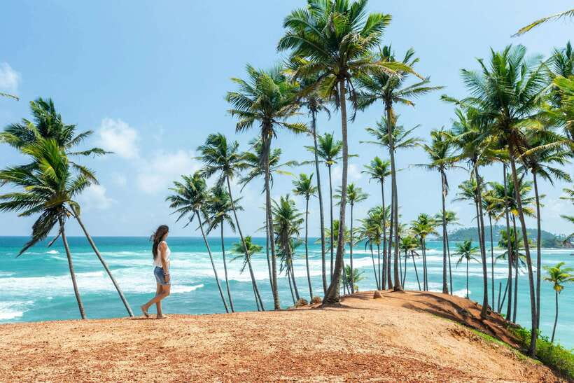 8-Day Sri Lanka Private Round Tour Hotels, Meals, Car, Guide - The smart shape of this Sri Lanka 8-day route