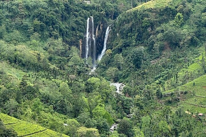 8 Days and 7 Nights Sri Lanka Tour - Day 5: Yala National Park for wildlife odds, plus Tissa Lake calm