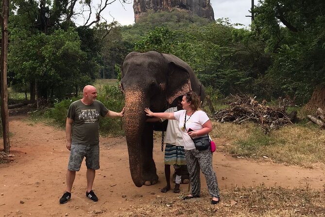 8 Days Private Guided Tour in Sri Lanka with accommodation (BB) - The basic idea: a tight Sri Lanka loop with a safety-first guide