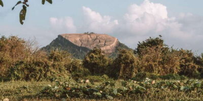 A Hidden Gem in Sigiriya: Magical Boat Journey. - Getting There: Back of Beyond and the Short Tuk-Tuk Ride