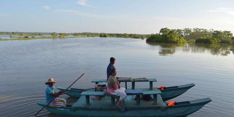 A Hidden Gem in Sigiriya: Magical Boat Journey. - Tea, Snacks, and Wildlife: How the Naturalist Changes the Trip