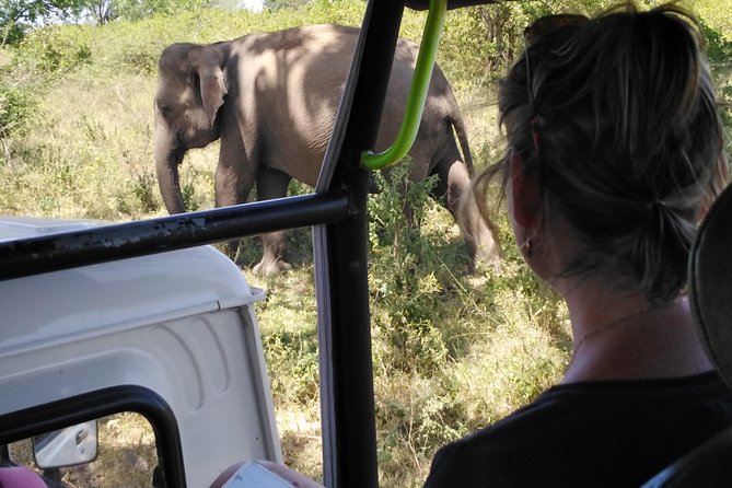 A Udawalawa Park safari, Tour from Colombo/Galle- (All inclusive) - From Colombo: what that 7:00am start sets you up for
