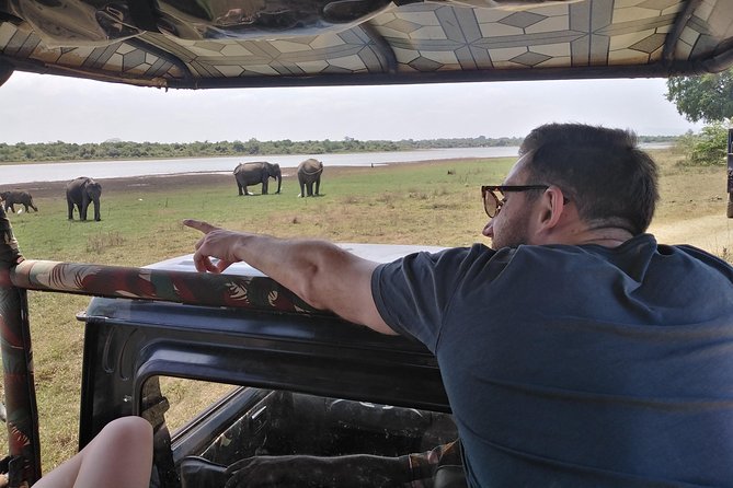 A Udawalawa Park safari, Tour from Colombo/Galle- (All inclusive) - Inside Udawalawe: your private 4WD safari window