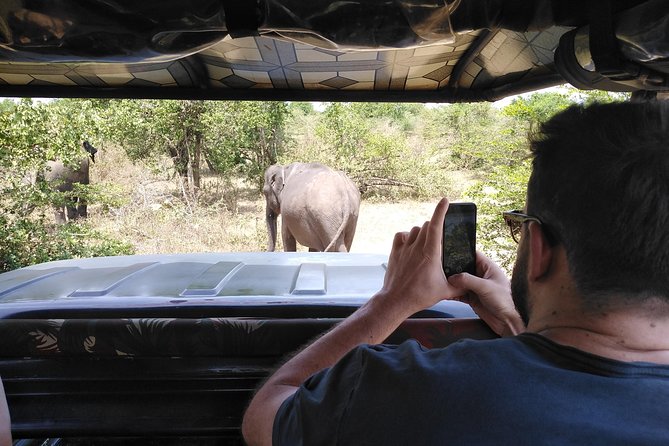 A Udawalawa Park safari, Tour from Colombo/Galle- (All inclusive) - Lunch at the right time: Sri Lankan rice & curry, included