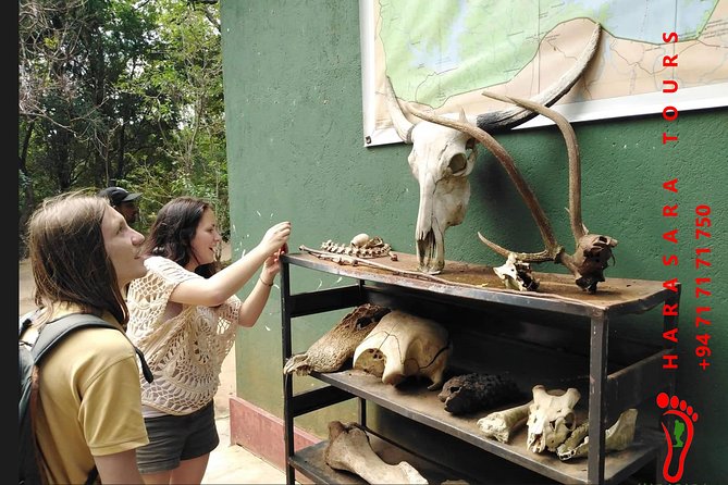 A Udawalawa Park safari, Tour from Colombo/Galle- (All inclusive) - Price and value: what $195 per person covers