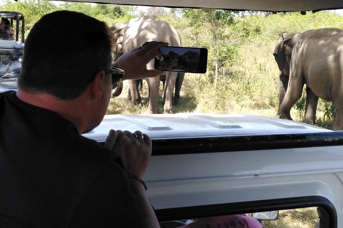 A Udawalawa Park safari, Tour from Colombo/Galle- (All inclusive) - That first stop: tank-and-mountain views before the safari