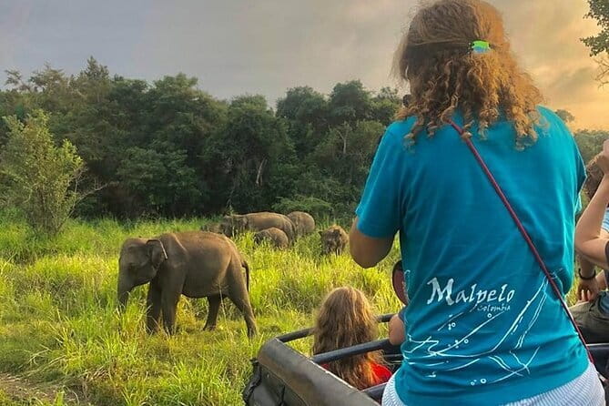Adventure safari Experience in Hurulu Eco Park, Sri Lanka - Key things to know before you go
