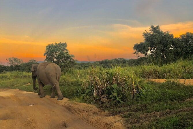 Adventure safari Experience in Hurulu Eco Park, Sri Lanka - Hurulu Eco Park, 3–4 hours: the sweet spot for elephant sightings