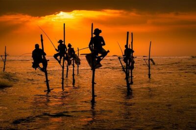 Airport drop From Galle, Hikkaduwa, Mirissa or Unawatuna - Key highlights to know before you go
