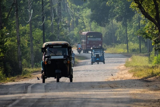 Airport Layover Colombo City tour - Price and value: what $80 is really buying you