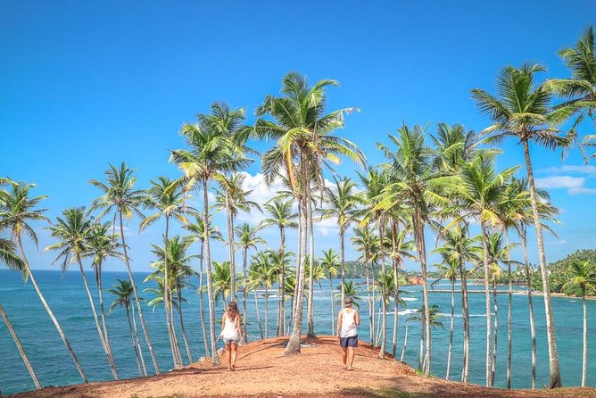 Airport Taxi Transfers from Colombo Airport to Mirissa - Quick Hits Before You Book