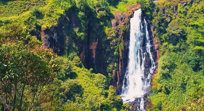 All in one Sri lanka 7nights 8 days for couple price - Bentota and Colombo: Finish With Sea Air and City Energy