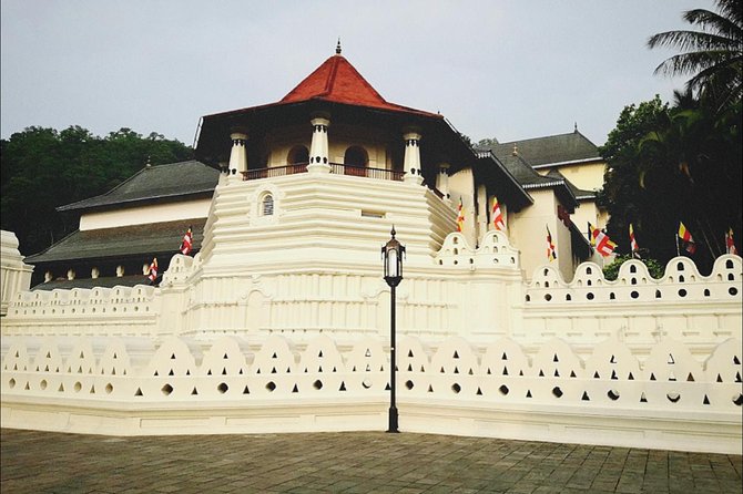 All in one Sri lanka 7nights 8 days for couple price - Your Route: From Sigiriya to Hill Country and Back to the Coast