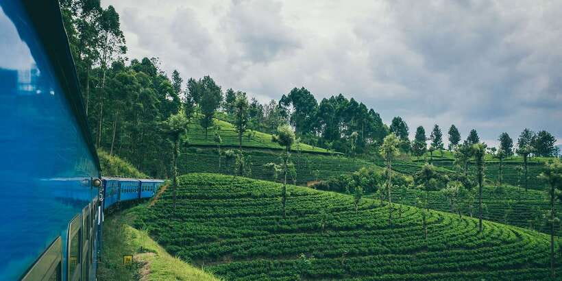 All Inclusive Ella From/To Kandy Scenic Train Journey - First-Class Seats and the Food-Drink Package: What You’re Really Buying