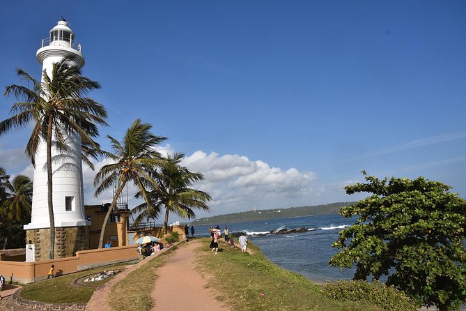 All Inclusive Galle Day Tour from Colombo & Negombo - Sea Turtle Conservation: The Stop That Gives the Day Weight