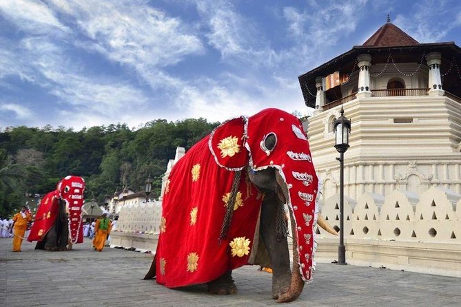 All Inclusive Kandy Private Day Tour From Colombo and Negombo - Peradeniya Royal Botanical Gardens: A Green Reset