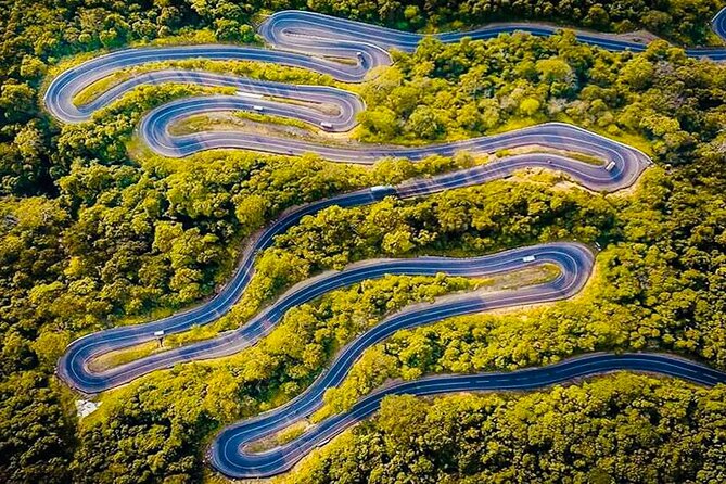 All Inclusive Kandy Private Day Tour From Colombo and Negombo - Udawattakele Sanctuary and the Chance to Slow Down