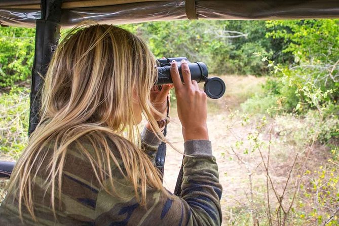 All Inclusive Leopard Nest Treehouse Safari in Yala - Who This Experience Fits Best