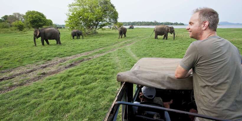 All-Inclusive Minneriya National Park Afternoon Safari - The 3-hour game drive: what you’ll see and how to watch