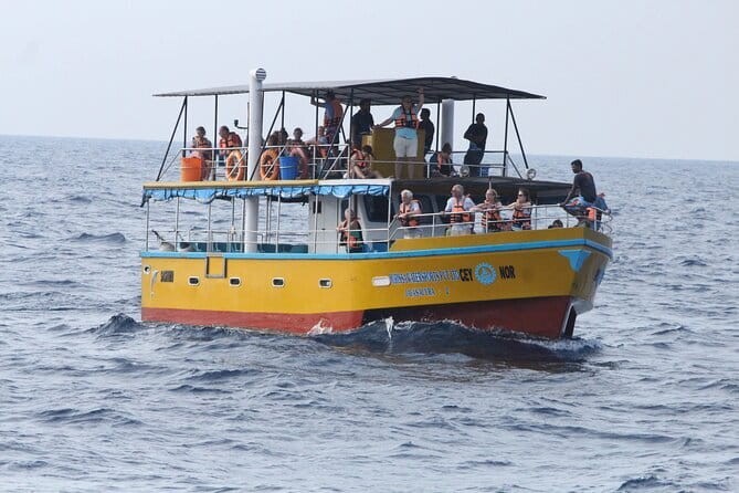 All Inclusive Mirissa Whale and Dolphin Watching Boat Ride - Key things that make this outing worth it