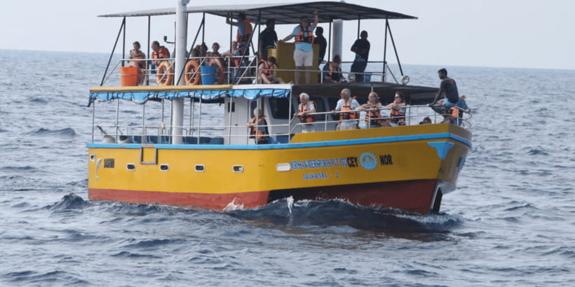 All Inclusive Mirissa Whale & Dolphin Watching + Snorkeling - Key things to know before you go