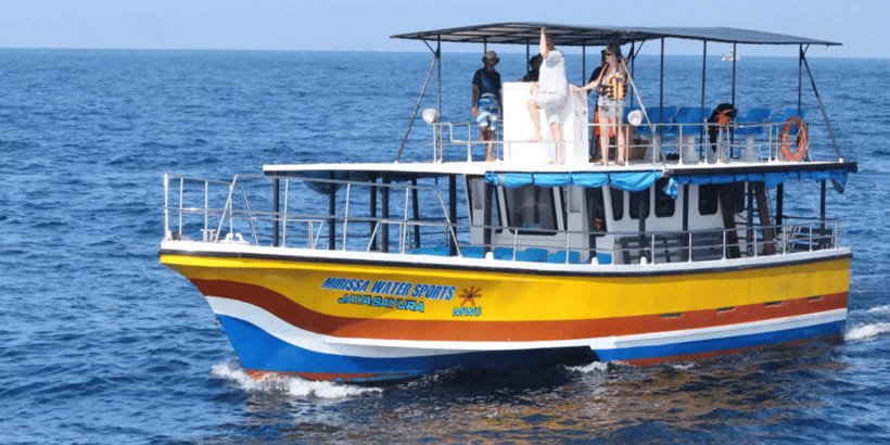 All Inclusive Mirissa Whale & Dolphin Watching + Snorkeling - The 4 Hours at Sea: Whales, Dolphins, and Marine Life Viewing