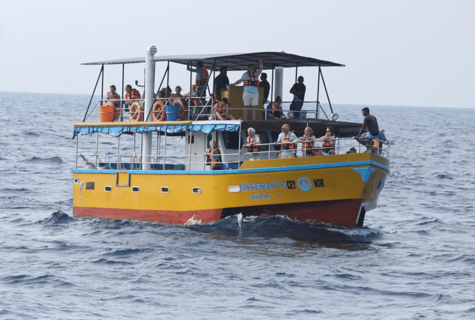 All Inclusive Mirissa Whale & Dolphin Watching + Snorkeling - Lunch and the Shift From Ocean to Snorkel Mode