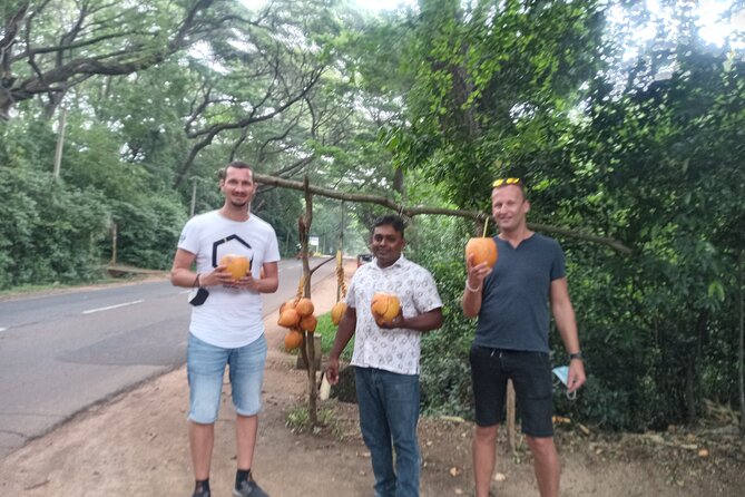 All inclusive Private day trip Sigiriya and Dambulla caves with more - Lunch and the day’s comfort: water, a full buffet stop, and real timing